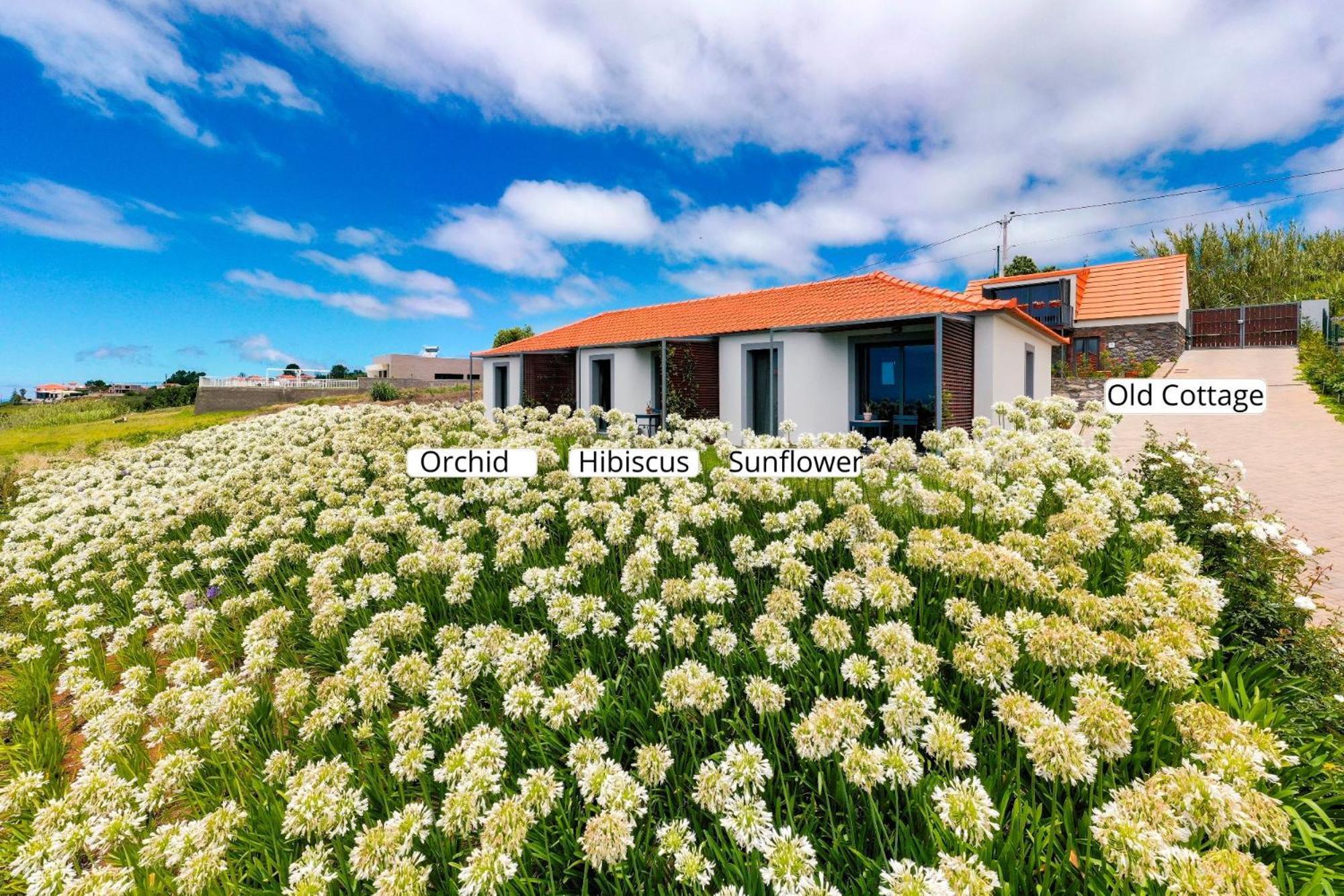 Ourmadeira - Quinta Inacia, Countryside Escape Appartement Calheta  Buitenkant foto